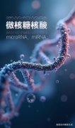 生物制制的焦点劣势正在于