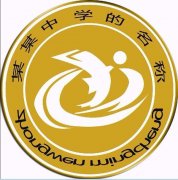 <b>Castor双子座式双单位哈曼曲线发烧HiFi耳返耳麦苏</b>